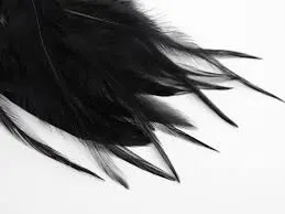 [00004985] Strung Rooster Saddle 3"-6" (Black)