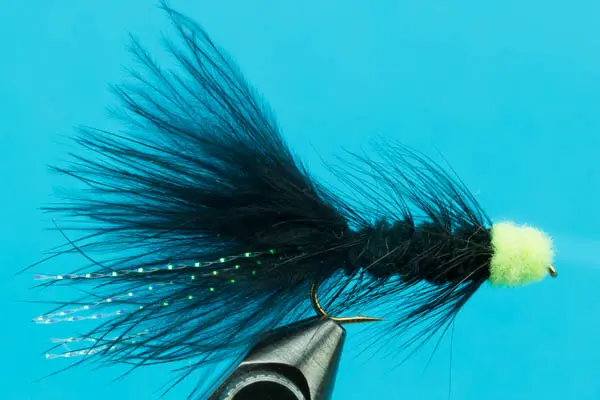 [00007023] Egg-Sucking Leech (Black/Chartreuse, 6)