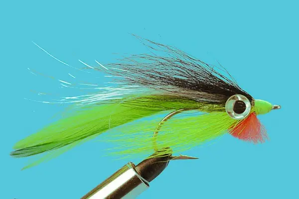 Big Eye Deceiver (Olive, 1/0)