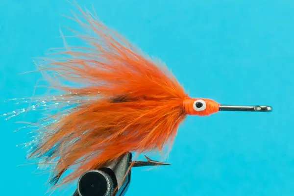 [00006743] Big Y Tarpon