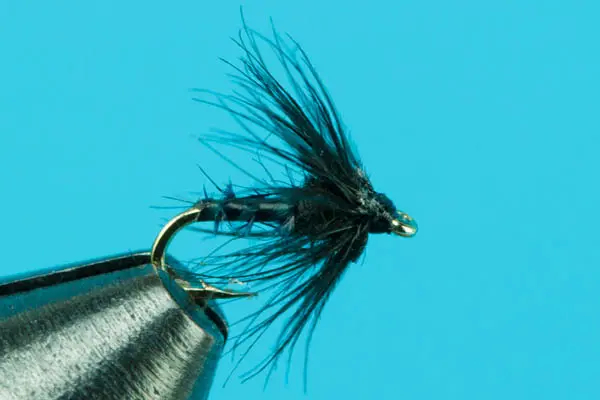 [00006750] Biot Midge (22)