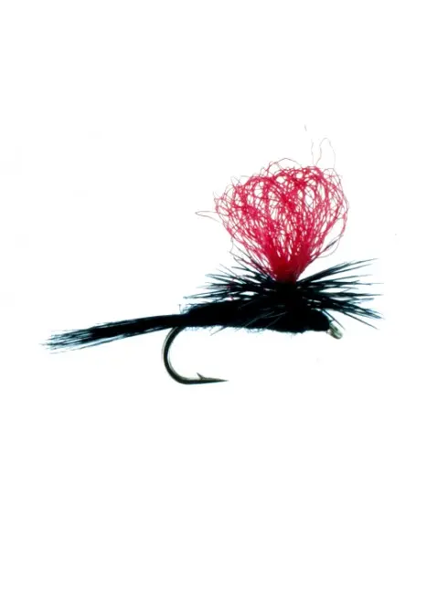 Black Gnat Twilight (22)