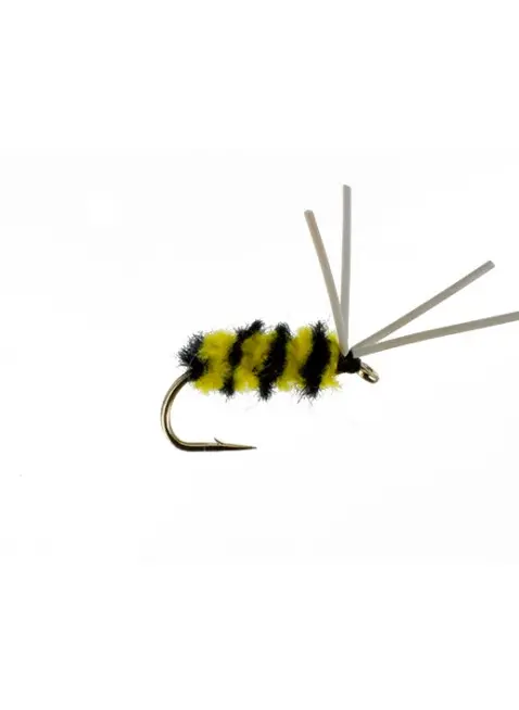 Blue Gill Spider