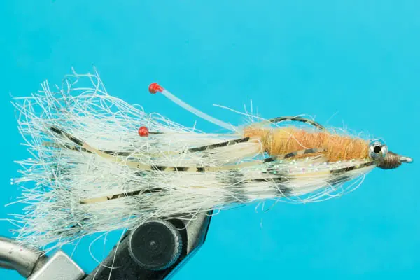 [00006798] Bone Jovi (4)