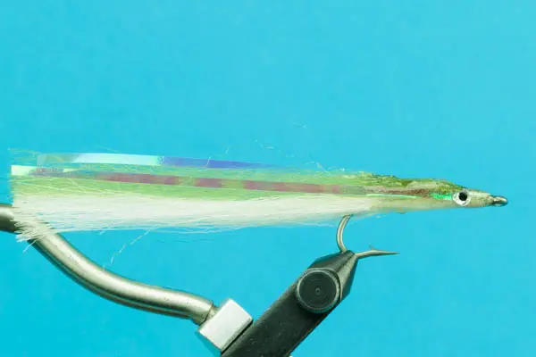 [00006828] Candy Eel  (Olive)