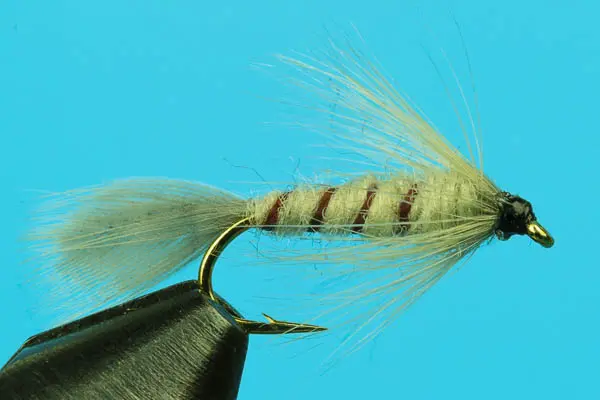 Flymph BWO (14)
