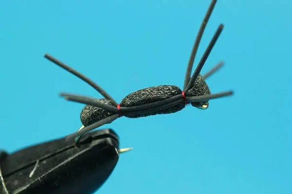 Foam Spider (12)