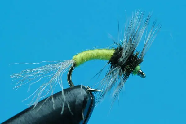 Griffith Gnat Emerger (22)