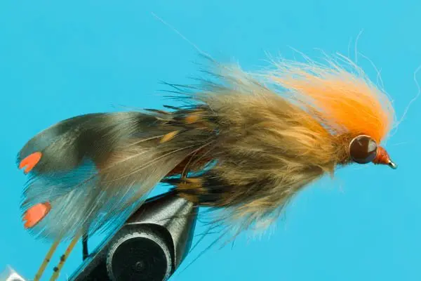 [00006903] Near Nuff Crayfish (4, Orange)