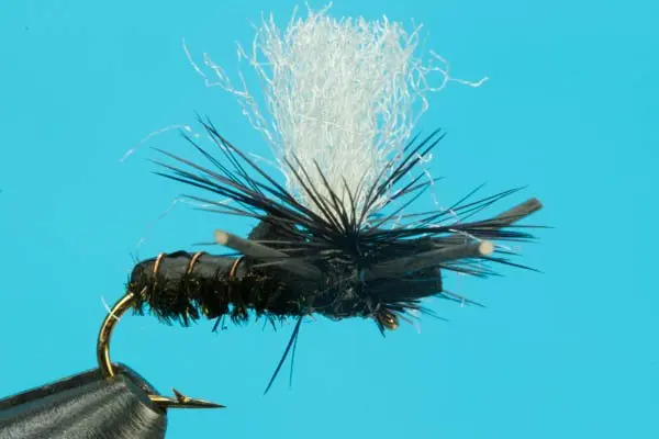 Suspended Beetle (Yellow, 12)