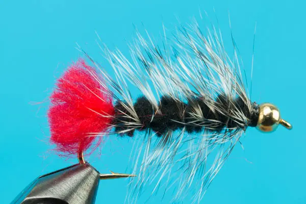 Woolly Worm Beadhead (Yellow, 12)